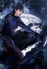南雨北风